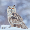 Eagle Owl in Winter Silence