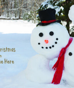 113c Happy Snowman