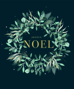052 Noel