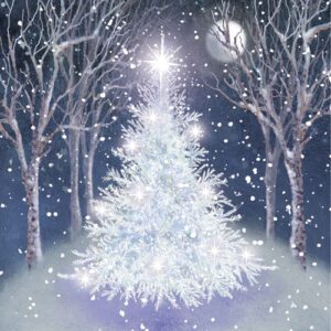 050 Sparkling Christmas Wishes