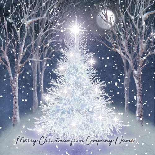 050fp Sparkling Christmas Wishes