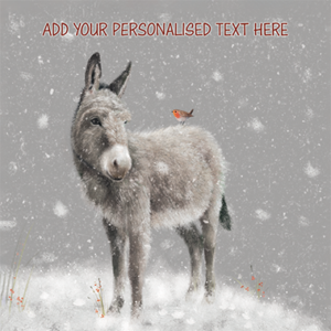 011fp Donkey's First Snow