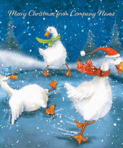 085fp Skating Ducks