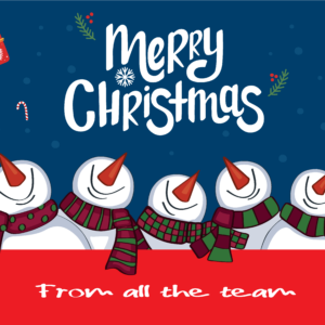 079 Snowman Team