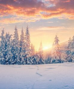 089 Winter Sunrise