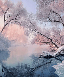 091 Frozen Serenity