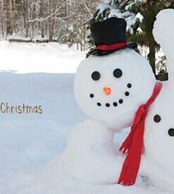 113 Happy Snowman