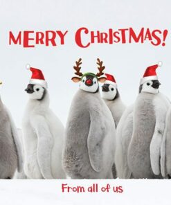 080 Party Penguins