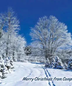 093fp A Winter's Day
