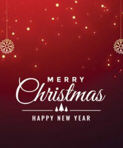 041 Contemporary Christmas Wishes