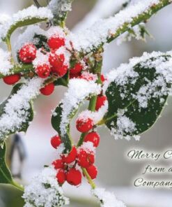 092c Festive Berries