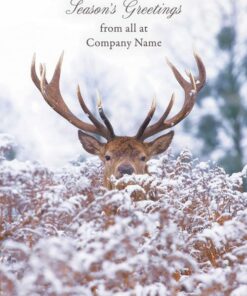 Red deer stag in snowy bracken with "Season's Greetings from all at Company Name" text.