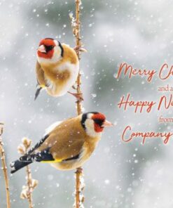 Two goldfinches on a snowy branch with "Merry Christmas and a Happy New Year from Company Name" text