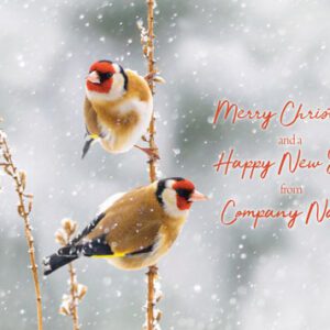 Two goldfinches on a snowy branch with "Merry Christmas and a Happy New Year from Company Name" text