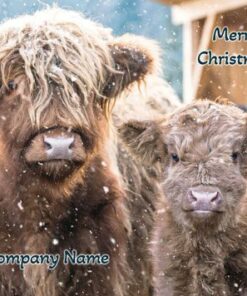 Highland cows in snow, "Merry Christmas!" text from Company Name