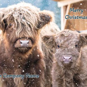 Highland cows in snow, "Merry Christmas!" text from Company Name