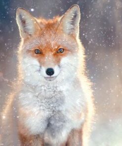 Majestic red fox in a snowy forest, captured in winter wildlife photography.