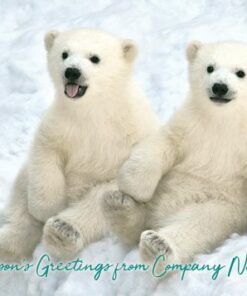 Two cute polar bear cubs sitting in the snow, wishing Season's Greetings from Company Name.