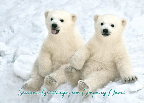 Two cute polar bear cubs sitting in the snow, wishing Season's Greetings from Company Name.