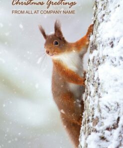 Red squirrel on snowy tree trunk with "Christmas Greetings" text