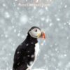Puffin in snow with "Season's Greetings from Company Name" text