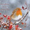 Christmas card with robin on snowy branch, "Merry Christmas from all at Company Name