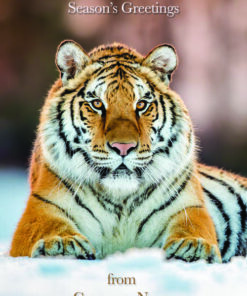 Majestic tiger in snow with "Season's Greetings from Company Name" text.