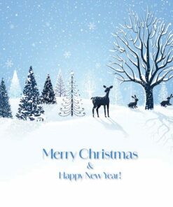 044 Silent Night