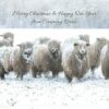 Fluffy sheep in a snowy field with "Merry Christmas & Happy New Year from Company Name" text.