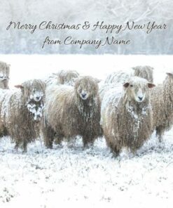 Fluffy sheep in a snowy field with "Merry Christmas & Happy New Year from Company Name" text.