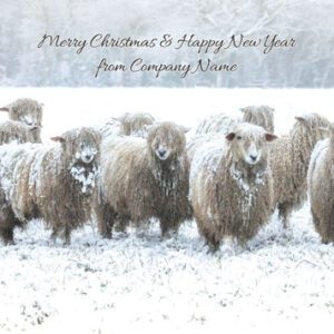 Fluffy sheep in a snowy field with "Merry Christmas & Happy New Year from Company Name" text.
