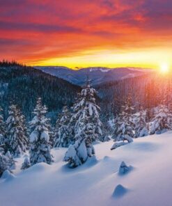 Winter sunset paints the sky in vibrant hues above a snowy mountain landscape with elegant pine trees, creating an atmospheric scene. Fabulous place. Photo wallpapers. Discovery the beauty of earth.
