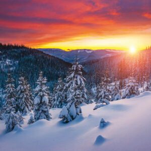 Winter sunset paints the sky in vibrant hues above a snowy mountain landscape with elegant pine trees, creating an atmospheric scene. Fabulous place. Photo wallpapers. Discovery the beauty of earth.