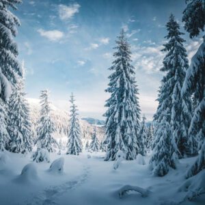 090 Winter Wonderland