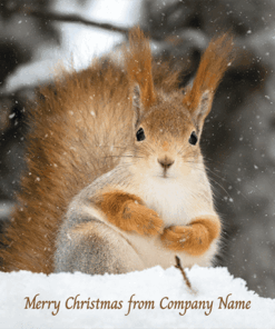 Red squirrel sitting in the snow, with "Merry Christmas from Company Name" text.