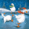 3 ducks skating on ice