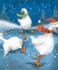 3 ducks skating on ice